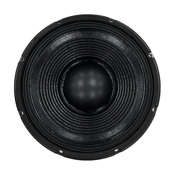 12 inches PA speaker